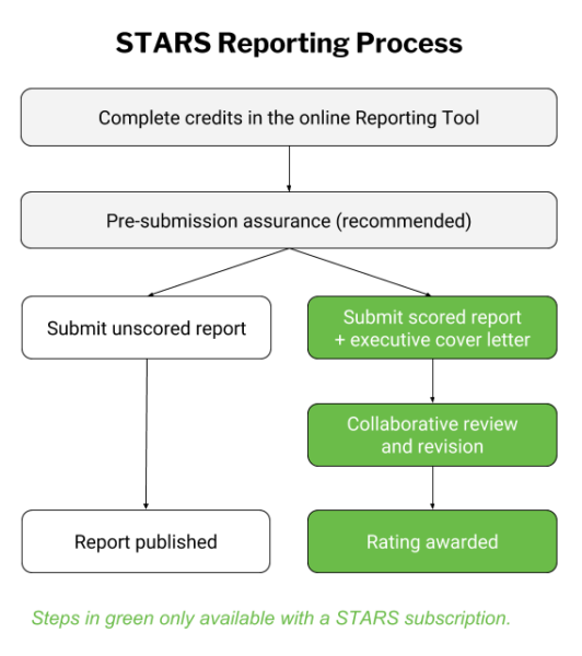 what-are-the-basic-steps-in-the-reporting-process-the-sustainability